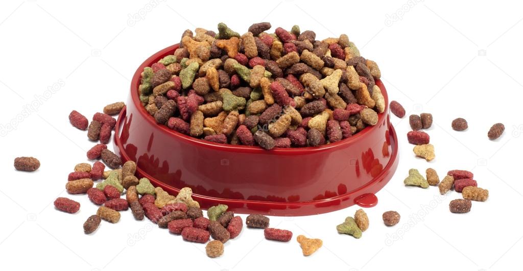 Mehrfarbiges Trockenfutter für Katzen oder Hunde in roter Schale