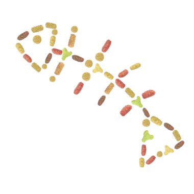 İskelet balık kuru kedi (köpek) gıdaların inşa. Beyaz arka plan.