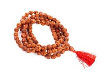 Rudraksha bir kadın elinde tespih. Japa mala.