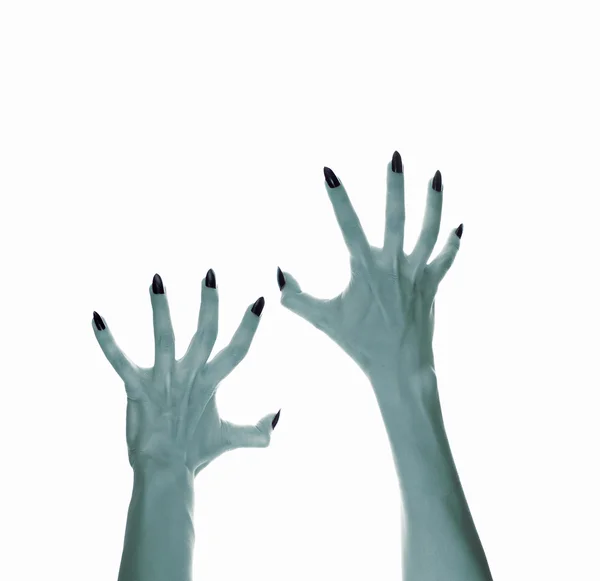 Terrible monster hand to create a collage on the theme of hallow — Stock Photo, Image