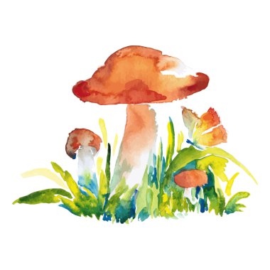 watercolor illustration of mushrooms clipart