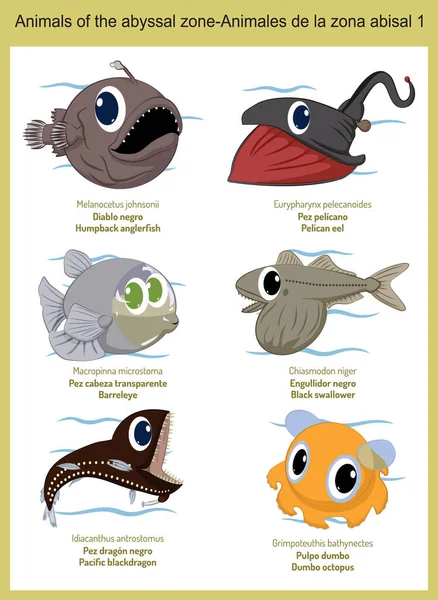Wild world animals of the abyssal zone cartoons, cute wild animals in vector with scientific name, and common name in English and Spanish.