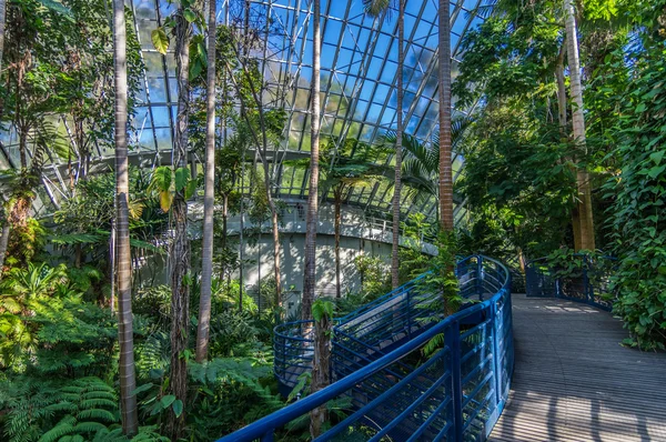 Adelaide görünümü 3