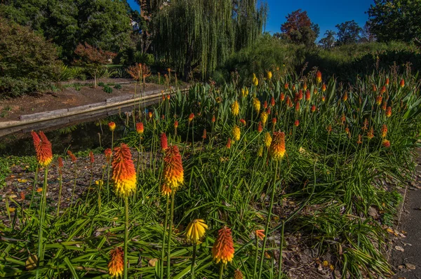 Adelaide görünümü 4 — Stok fotoğraf