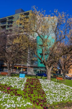 Adelaide görünüm 41