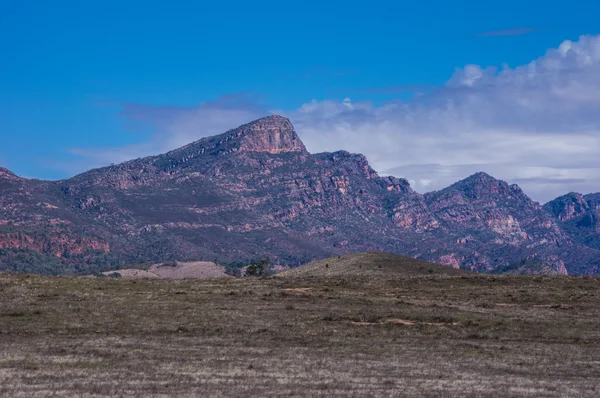 Flinders 16 değişen