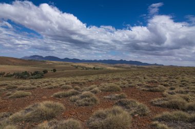 Flinders aralıkları 38