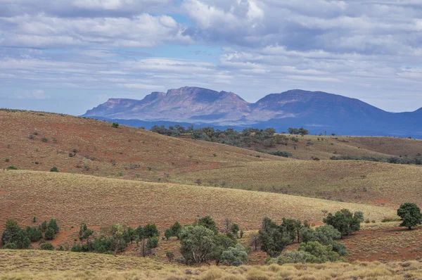 Flinders Ranges 37 — Stock Photo, Image