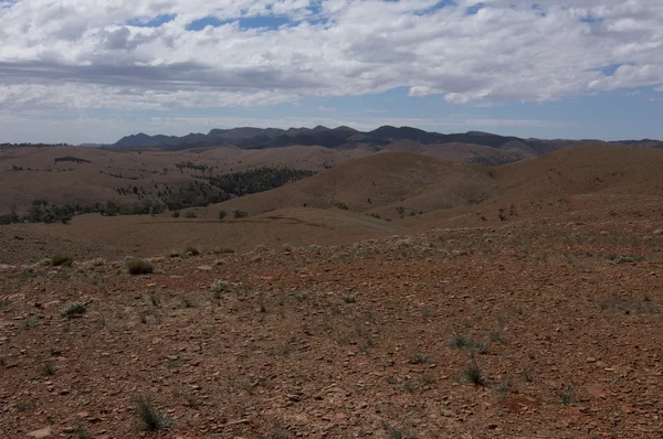 Flinders Ranges 39 — Stockfoto