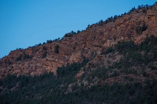 Flinders aralıkları 5