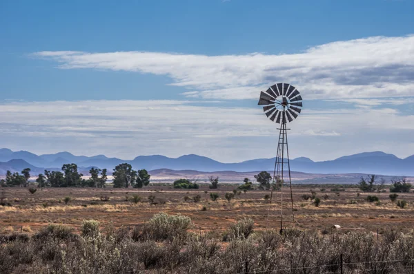 Flinders aralıkları yel değirmeni