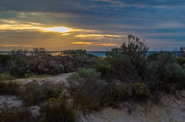 Largs Bay Dunes