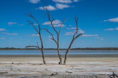 Outback kurak Lagoon