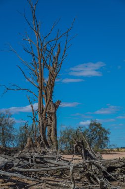 Outback kurak Lagoon