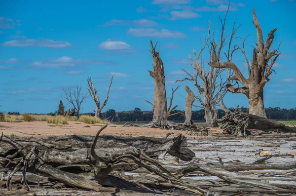 Outback kurak Lagoon