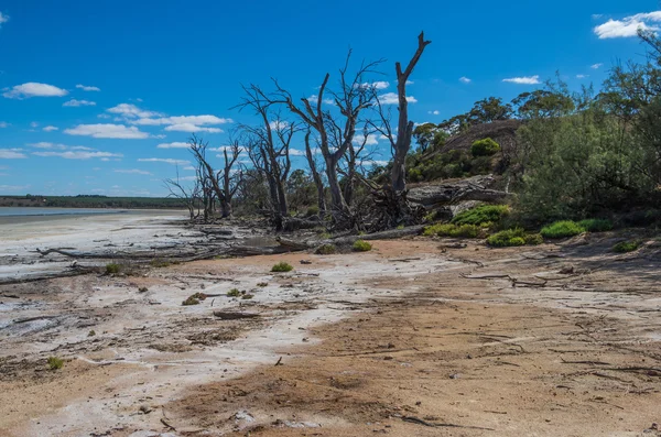 Outback Arid Lagoon — Stock Photo, Image