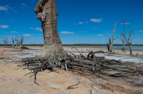 Outback kurak Lagoon