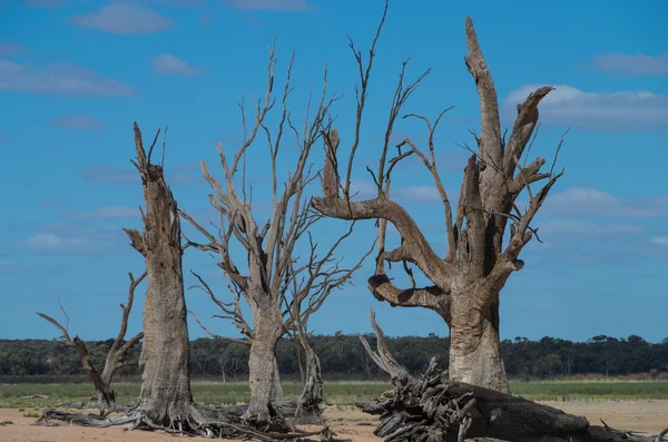 Outback kurak Lagoon