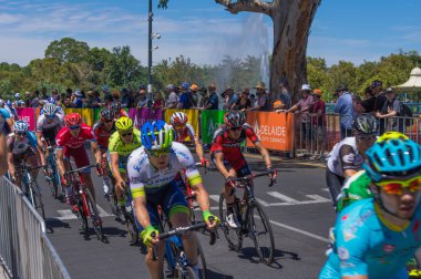 Adelaide tur aşağı altında 2016