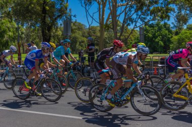 Adelaide tur aşağı altında 2016