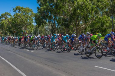 Adelaide tur aşağı altında 2016