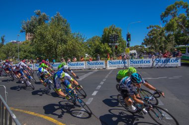 Adelaide tur aşağı altında 2016