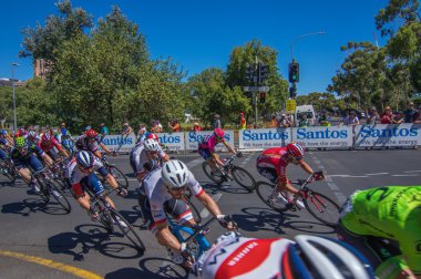 Adelaide tur aşağı altında 2016