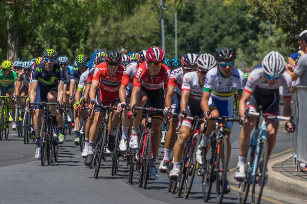 Adelaide tur aşağı altında 2016