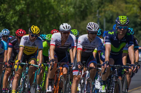 Adelaide Tour Down Under 2016 — Stockfoto