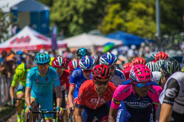 Adelaide tur aşağı altında 2016