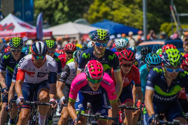 Adelaide tur aşağı altında 2016