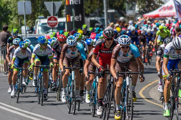 Adelaide tur aşağı altında 2016