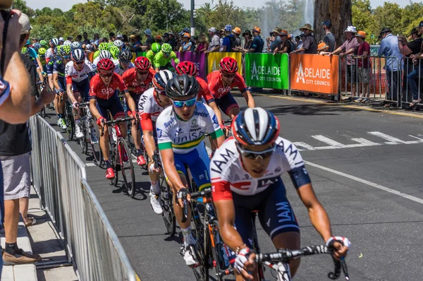 Adelaide Tour Down Under 2016 — Zdjęcie stockowe