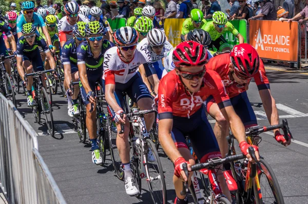 Adelaide tur aşağı altında 2016