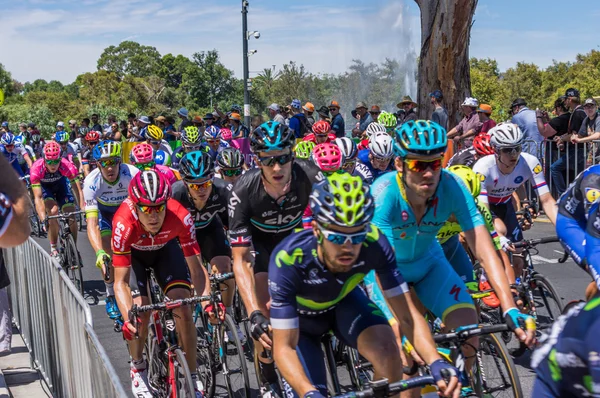 Adelaide tur aşağı altında 2016