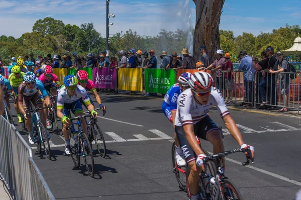 Adelaide tur aşağı altında 2016