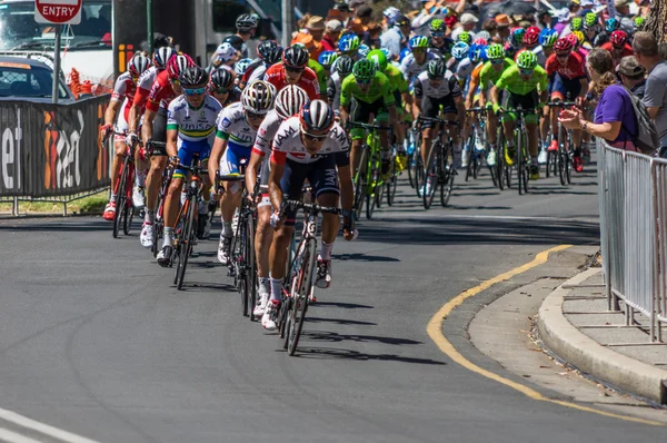 Adelaide tournée vers le bas en 2016 Photo De Stock