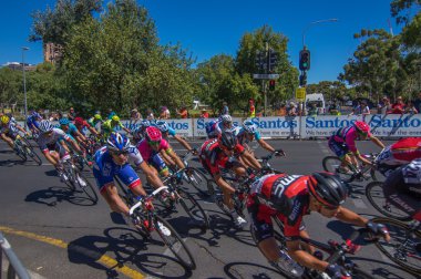 Adelaide tur aşağı altında 2016