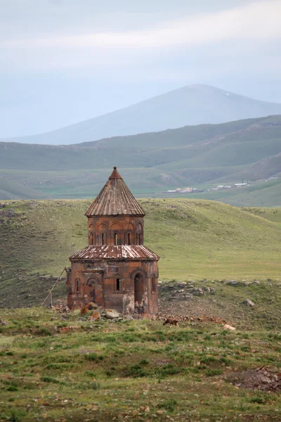 Ani şehir