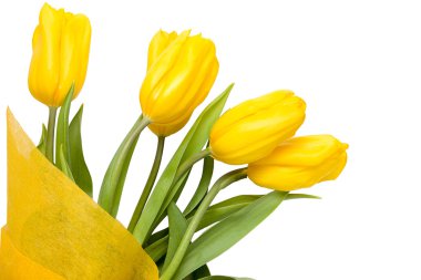 Bir buket beyaz arka plan üzerinde izole Sarı laleler