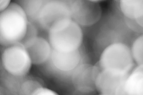 Doğal Bokeh, bulanık bokeh siyah ve beyaz — Stok fotoğraf