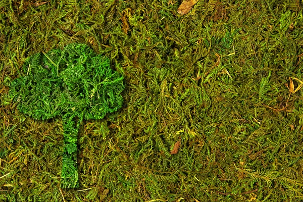 Ökologiekonzept. der Baum des Lebens auf frischem frühlingsgrünem Gras, Moos — Stockfoto