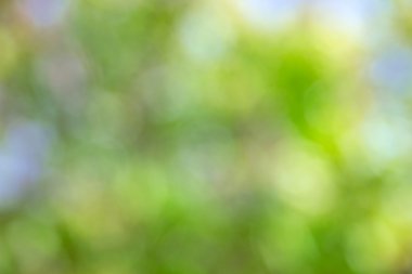 Doğal Bokeh, bulanık bokeh, Bahar ve yaz bokeh