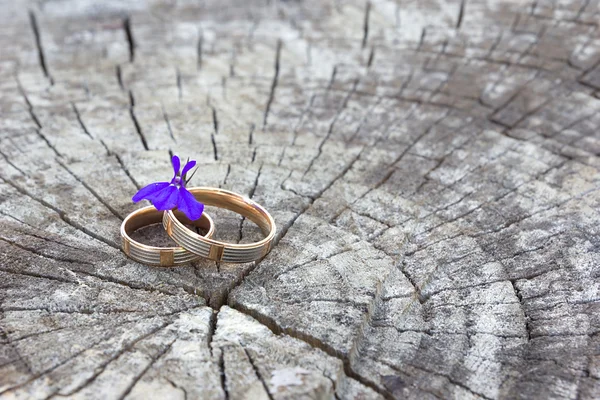 Anillos de compromiso de boda en el viejo muñón de madera — Foto de Stock