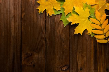 Boş alanı olan eski kahverengi ahşap arka plan üzerinde sonbahar yaprakları