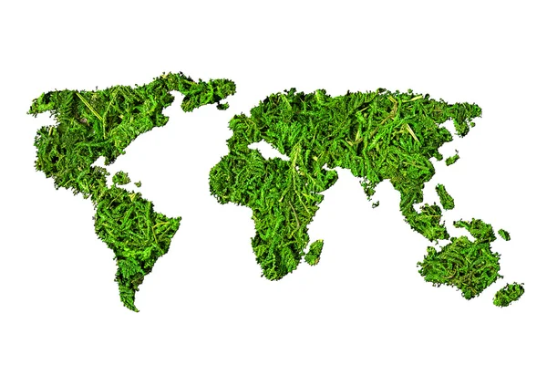 Kavram ekoloji. Dünya Haritası, dünya üzerinde beyaz arka plan izole yeşil bitkiler — Stok fotoğraf
