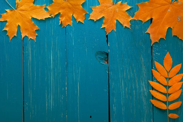 Jesienne liście nad turkus tło drewniane z pustej przestrzeni — Zdjęcie stockowe