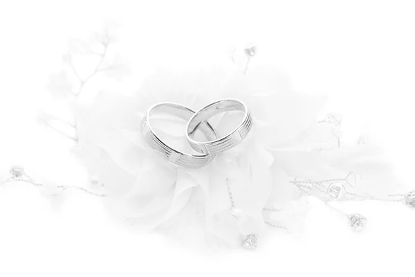 Wedding rings on wedding card on a white background — Stock Photo, Image