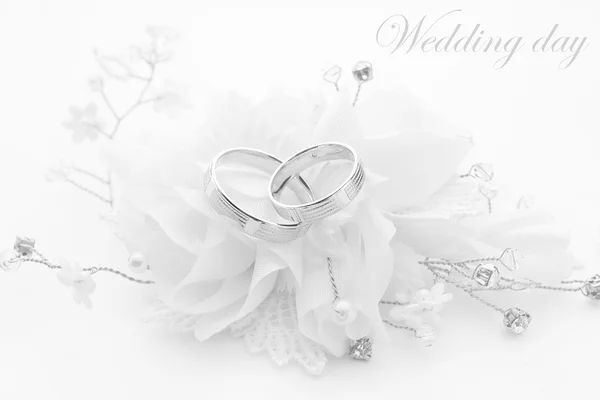 Wedding rings on wedding card on a white background — Stock Photo, Image