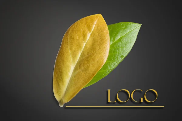 The concept of ecology. Green and yellow leaves with the inscription logo on dark background — Stock Photo, Image